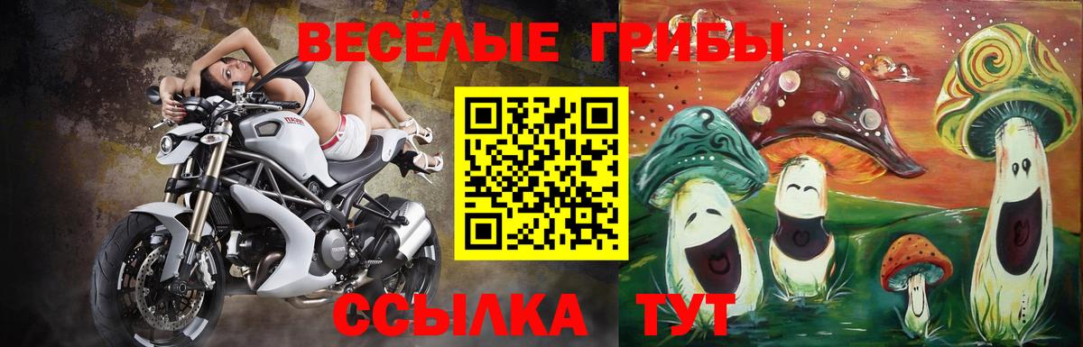 купить наркотики цена  Псилоцибиновые грибы мицелий  Вход с VPN  Балаково 